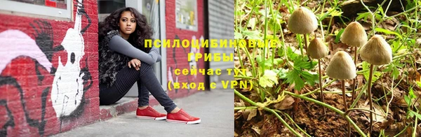 стафф Кулебаки