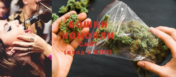 индика Куйбышев