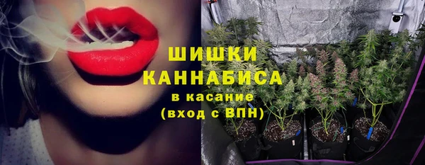 стафф Кулебаки